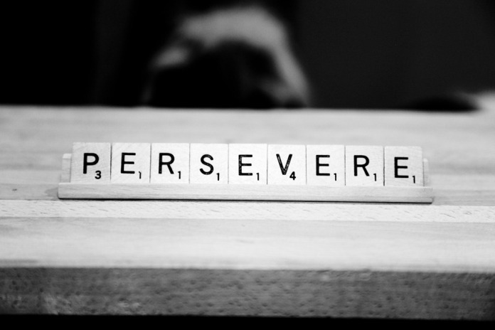 perseverance 7